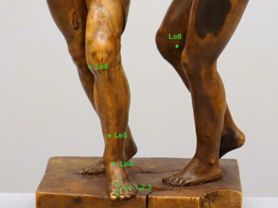 Leberpunkte Bein